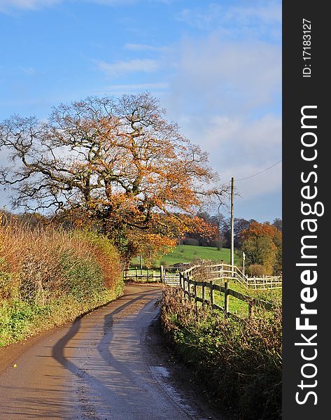 An English Country Lane In Early Winter