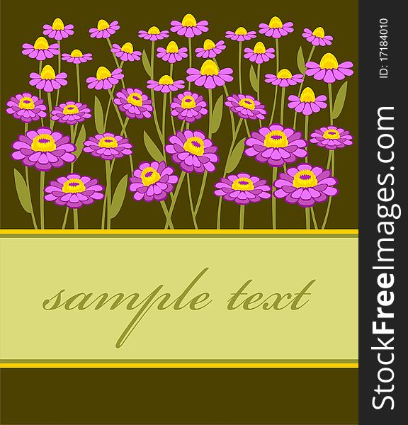 Postcard with a picture of chamomile field. Postcard with a picture of chamomile field