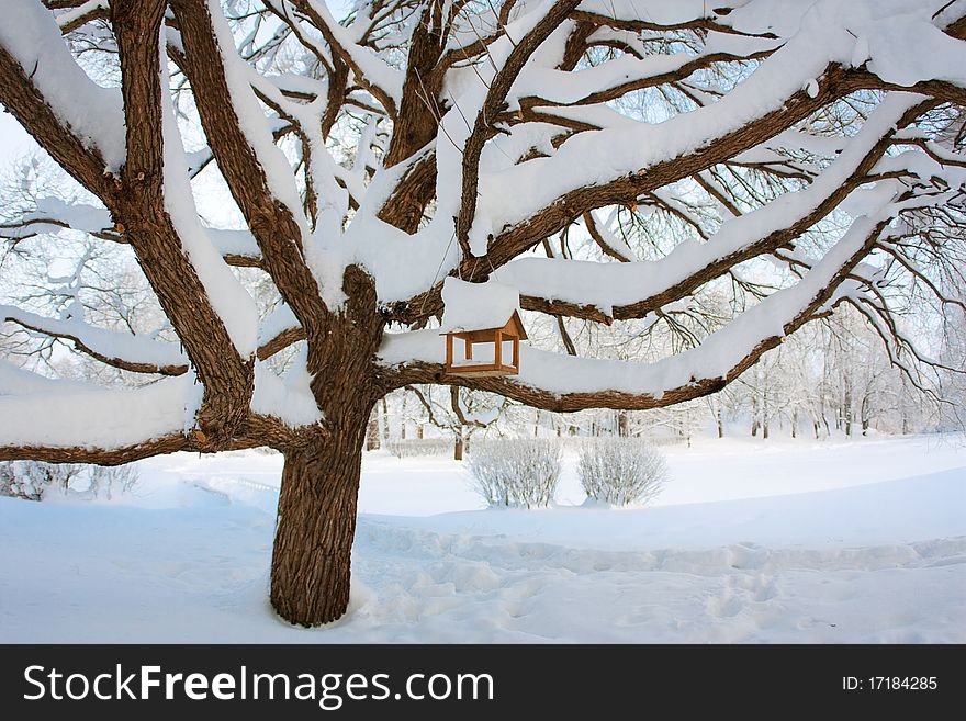 Winter, feeding trough for birds on a tree, a snow landscape