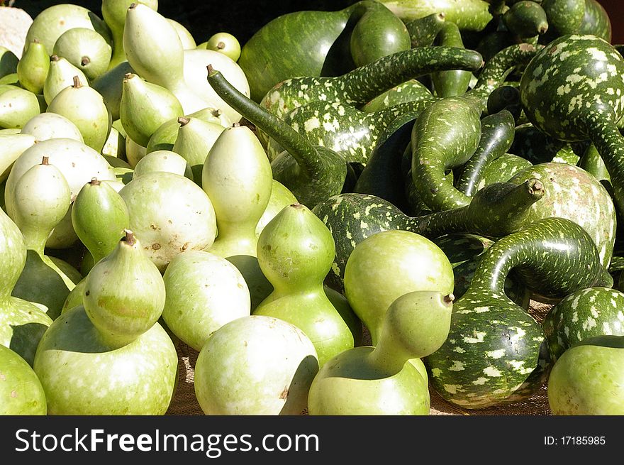 Green gourds on display at a farm stand