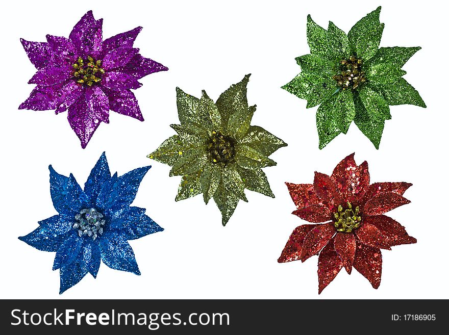Assorted colors of Poinsettias pink, green gold, red, and blue isolated on a white background. Assorted colors of Poinsettias pink, green gold, red, and blue isolated on a white background.