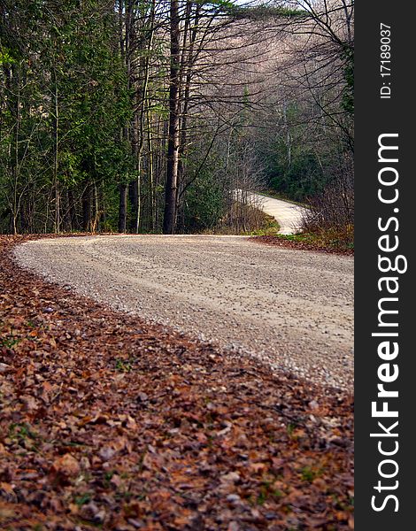 A dirt road winding through the forest in fall. A dirt road winding through the forest in fall.