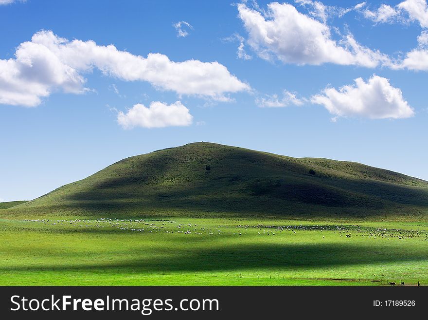 Beautiful landscape in the mongolian grassland