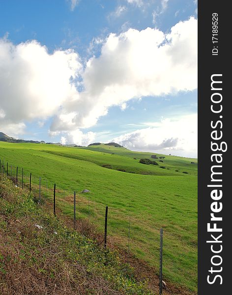 A fence into big sky next to fertile ground