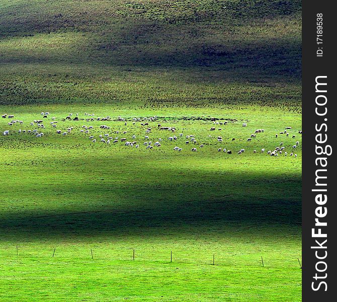 The beautiful grassland in inner mongolia of china