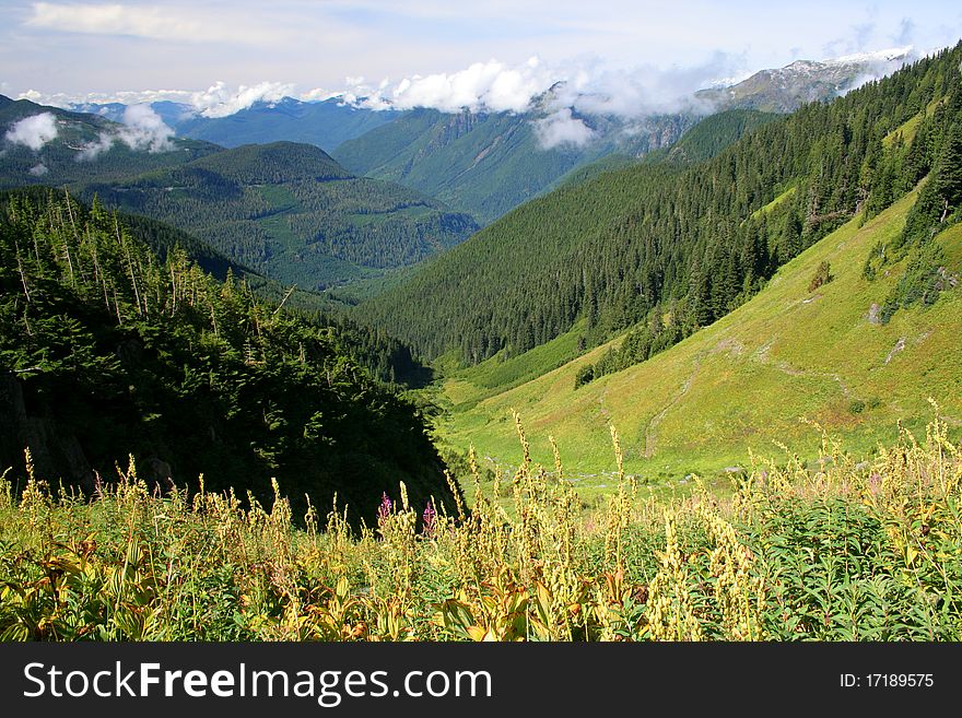 Far reaching view of forested mountains from a lush meadow in North Cascades National Park, Washington State. Far reaching view of forested mountains from a lush meadow in North Cascades National Park, Washington State.