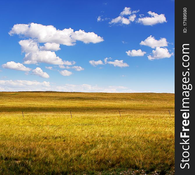 Blue sky ,white clouds and grassland. Blue sky ,white clouds and grassland