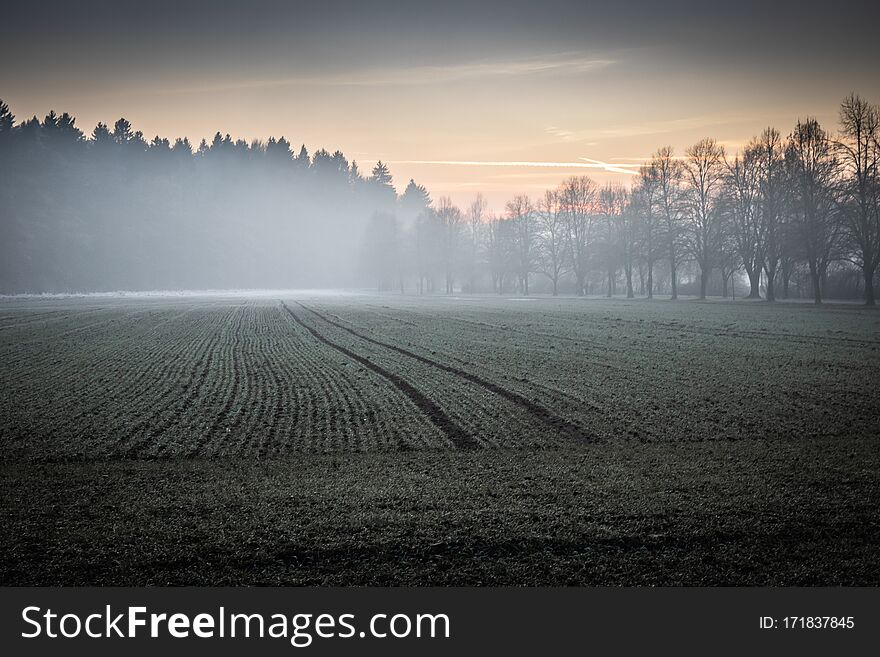 Foggy mistical atmosphere in winter time fields and forest,