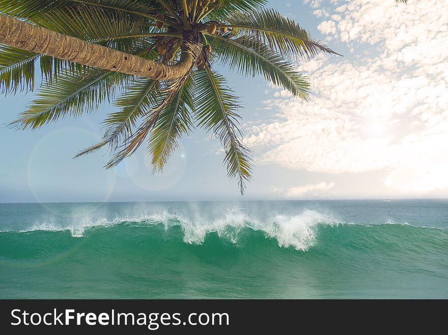 Ocean waves against the blue sky and palm trees. Sunny summer day in the tropics.