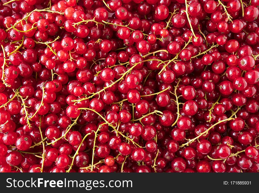 Background of red currants. Fresh red berries closeup. Top view. Background of fresh berries. Various fresh summer fruits. Red food