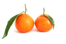 Tangerine Stock Photography Tangerine Stock Photography