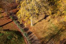 Autumn Leaves Royalty Free Stock Photography Autumn Leaves Royalty Free Stock Photography