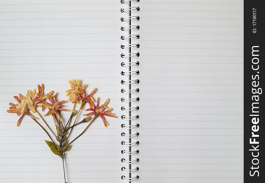 Pressed Dry Flower On Two Page Note Book