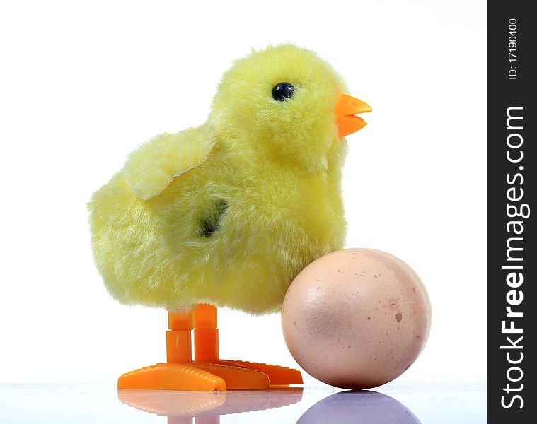 Chick with egg isolated on white background. Chick with egg isolated on white background.