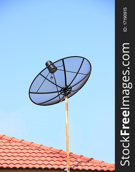 The satellite antenna for signal cable television.