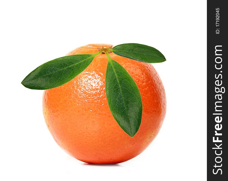 Studio photo of whole orange on white background. Studio photo of whole orange on white background