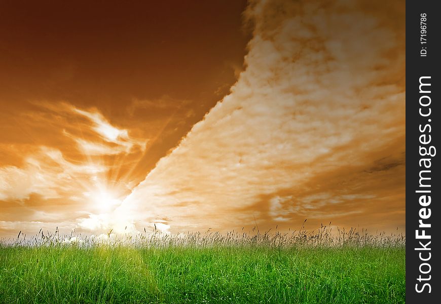 Field landscape at the sunset