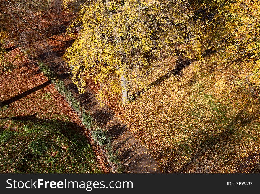 Looking down on a beautiful path of Autumn leaves in a London park.