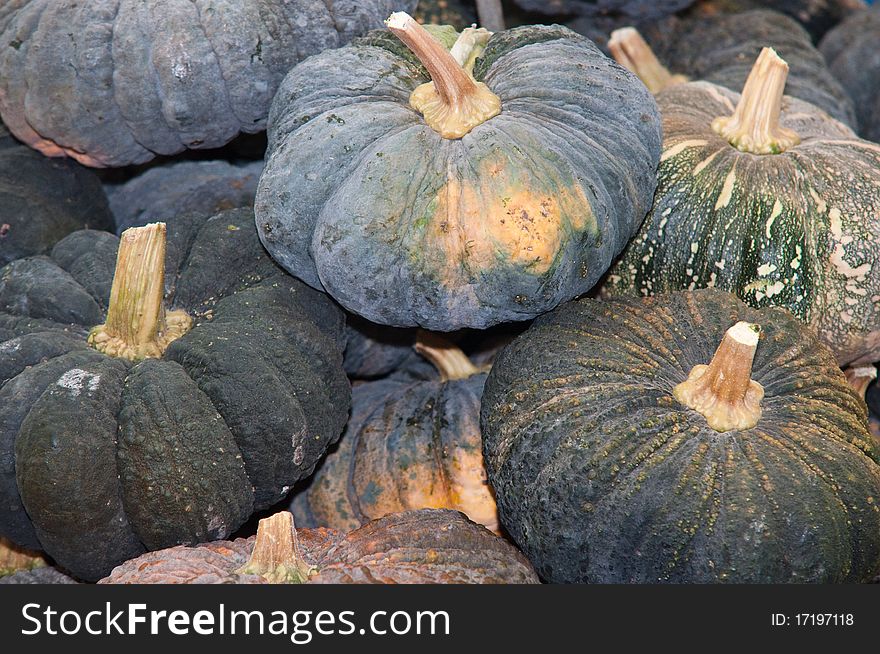 Colorful pumpkins collection on the market . Colorful pumpkins collection on the market .