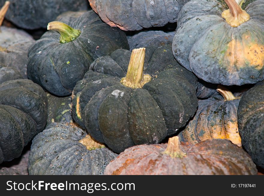 Colorful pumpkins collection on the market . Colorful pumpkins collection on the market .