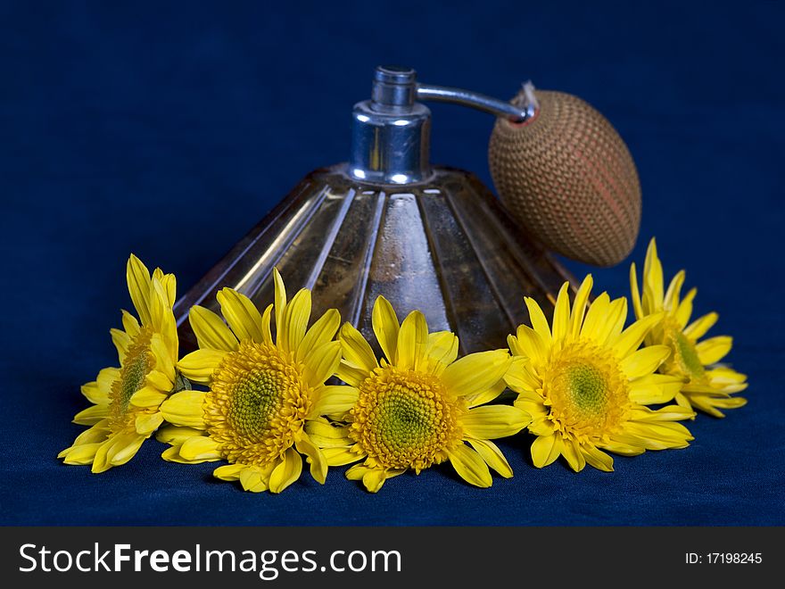 Vintage perfume bottle surrounded with yellow flowers, on dark background. Vintage perfume bottle surrounded with yellow flowers, on dark background