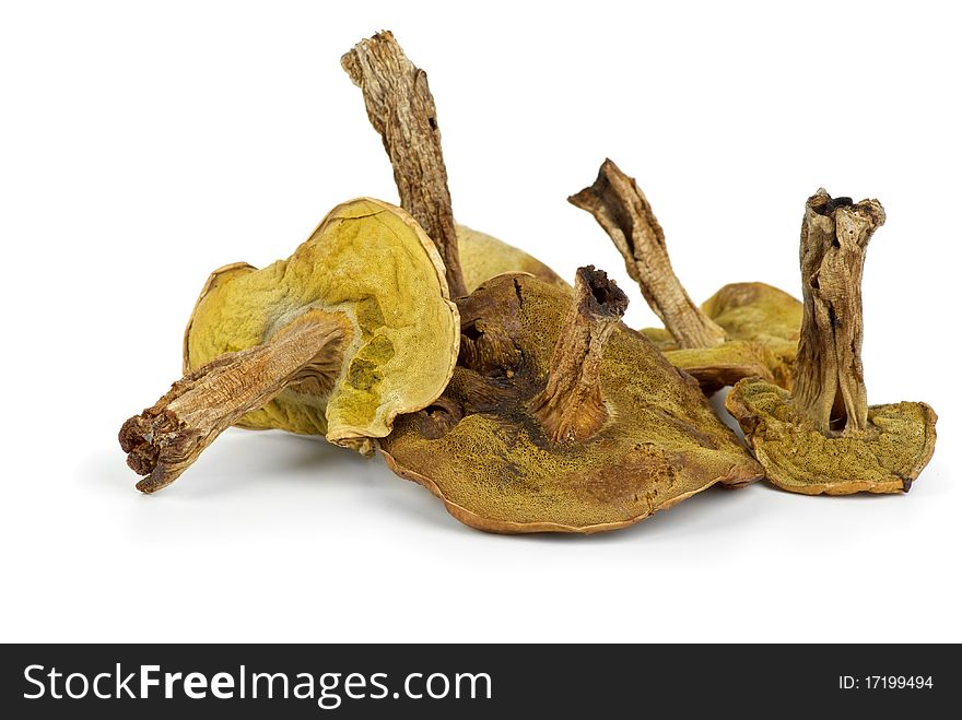 Few dried cepe mushrooms isolated on the white background