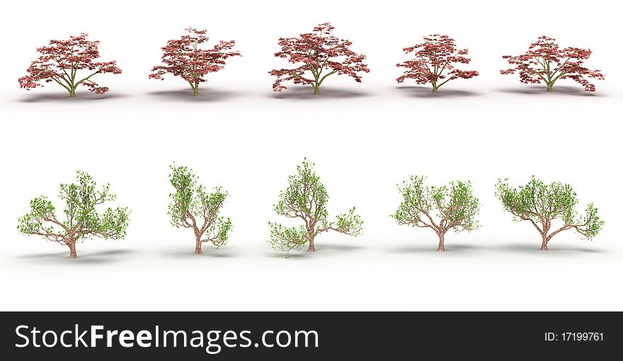 Ten trees with red and green leaves on a white background