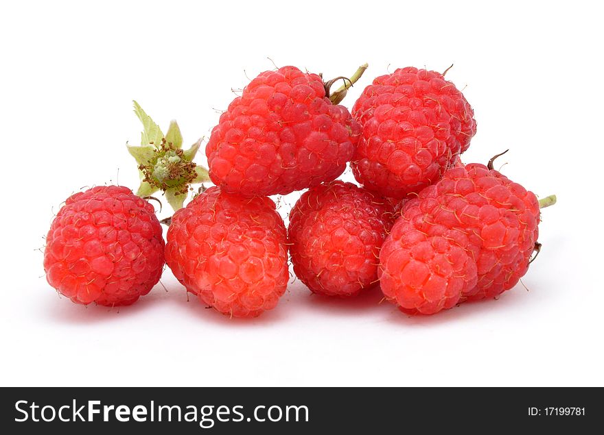 Berries of raspberry