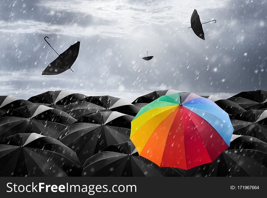 Umbrella in Storm