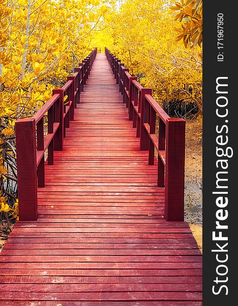 Red wooden bridge into the autumn forest. Red wooden bridge into the autumn forest