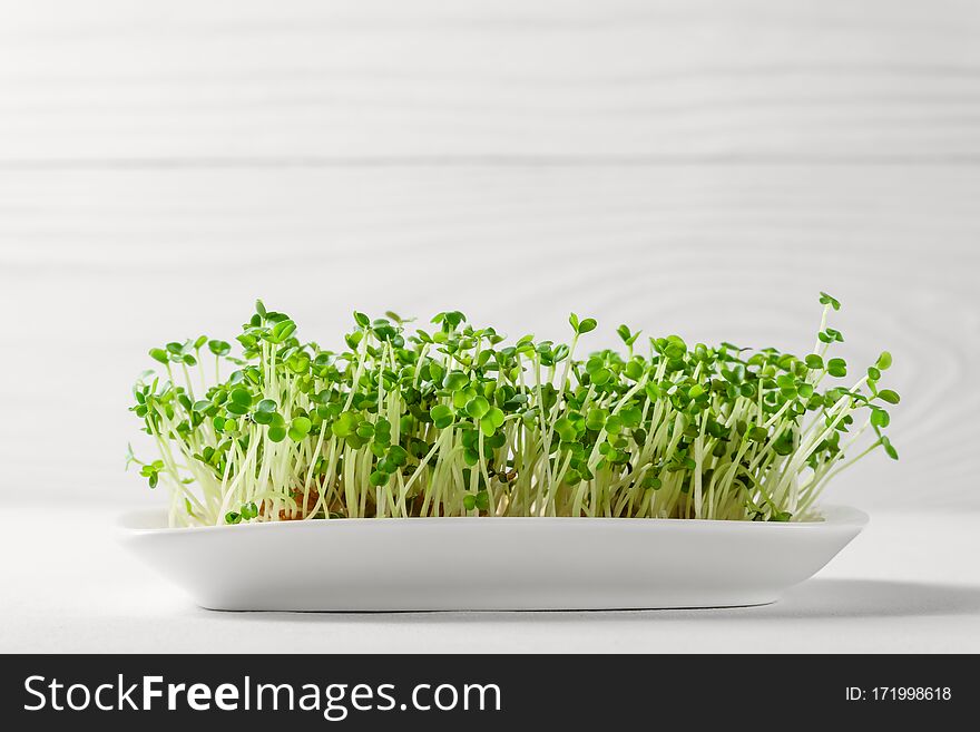 Micro greens arugula sprouts grow in a white bowl. Image contains copy space. The concept of proper nutrition.