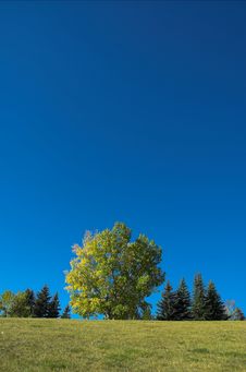 Fall Season Royalty Free Stock Photo Fall Season Royalty Free Stock Photo