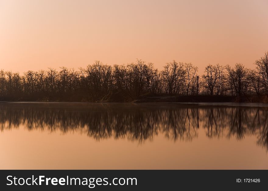 Tree Reflections