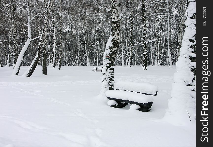 Park with wooden bench under thick snow cover. Park with wooden bench under thick snow cover