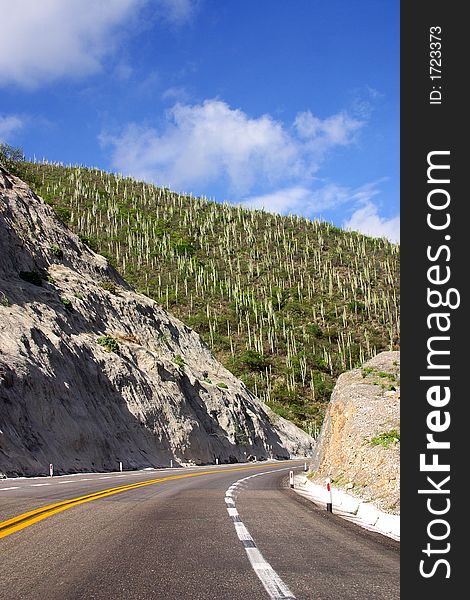 Mountains and vegetation at the road from  Puebla to Oaxaca in the southern state of Oaxaca Mexico,Latin America