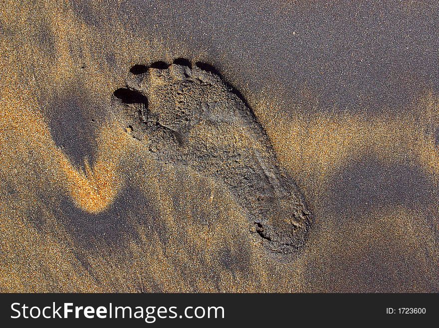 Footprint at the sand in oaxaca, mexico. Footprint at the sand in oaxaca, mexico