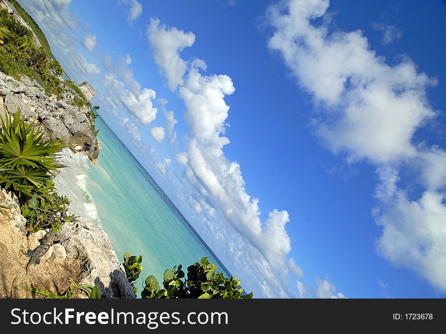 Iguana taking in the veiw in Tulum Mexico. Iguana taking in the veiw in Tulum Mexico