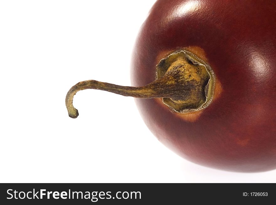 Tropical fruit tamarillo, isolated on the white