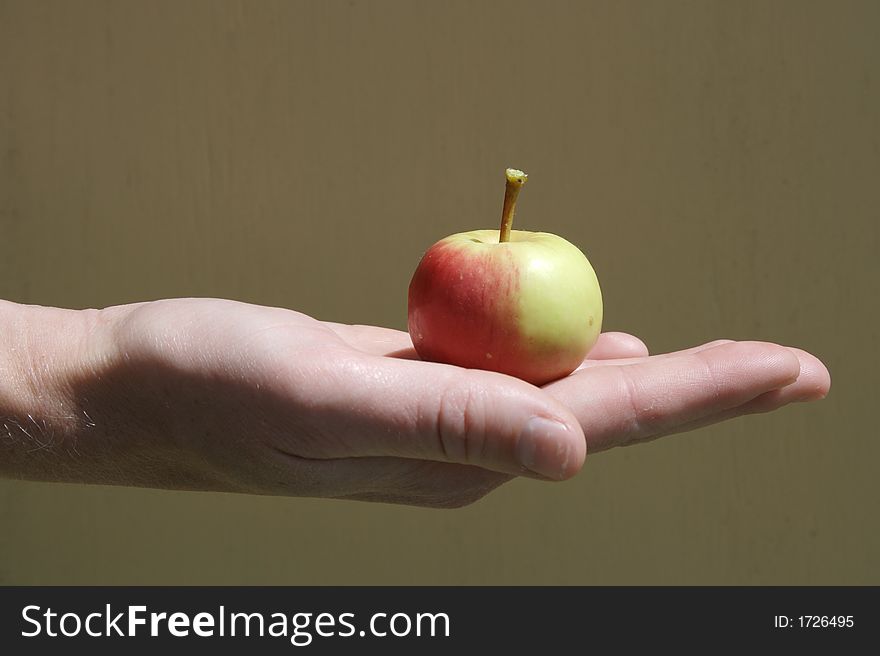 Baby Apple in the palm of a hand