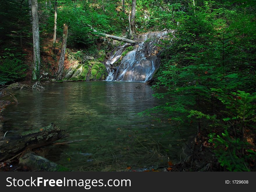 Waterfall in the forest surrounded by trees and logs