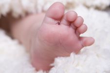 Baby Feet Stock Photography Baby Feet Stock Photography