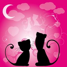 Cats Love Stock Photos Cats Love Stock Photos