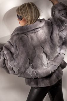 Attractive Woman In Gray Fur Coat Stock Images