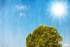 Sunny Royalty Free Stock Photography Sunny Royalty Free Stock Photography
