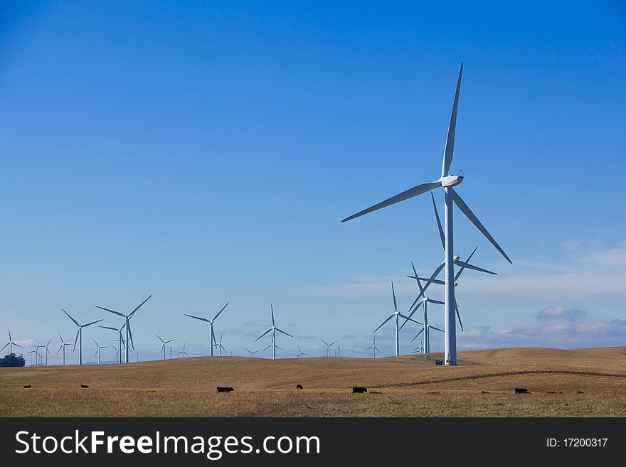 A wind farm in rolling foothills