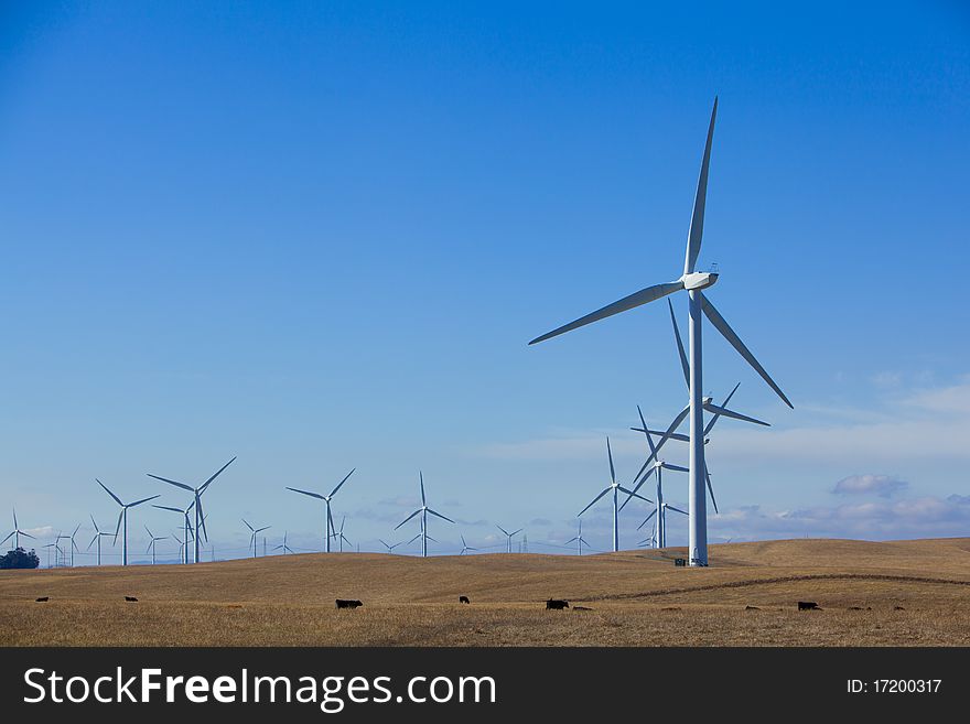 Wind Farm