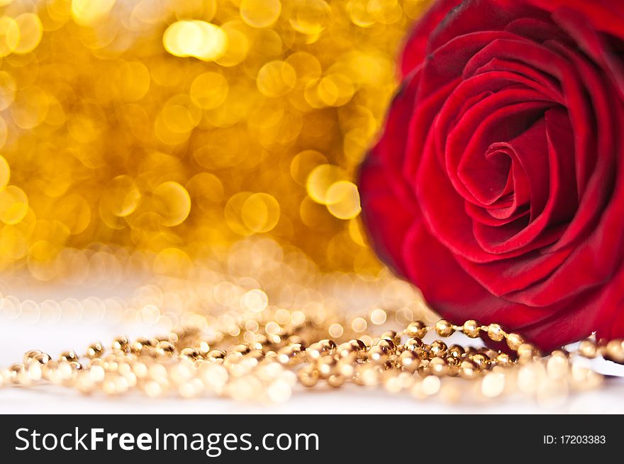 Erd rose with golden lights on background. Erd rose with golden lights on background
