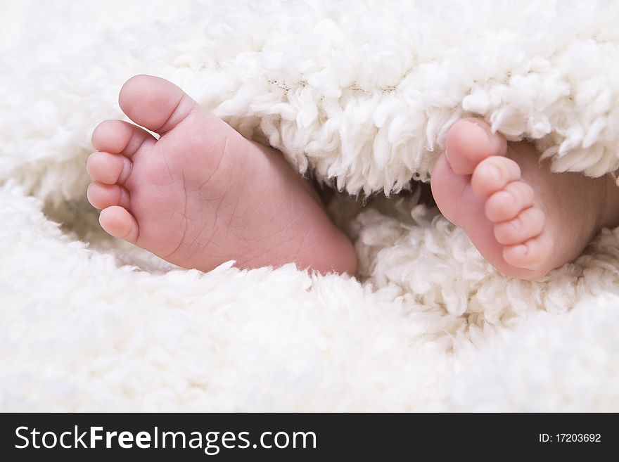 A pair of baby newborn feet in a soft white blanket