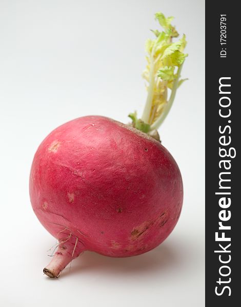 One ripe red radish root with green sprout on the white background. One ripe red radish root with green sprout on the white background