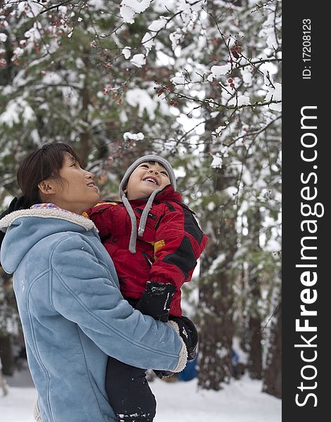 A mother and her son look up at snow covered berries in a tree. A mother and her son look up at snow covered berries in a tree.